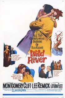 دانلود فیلم Wild River 1960