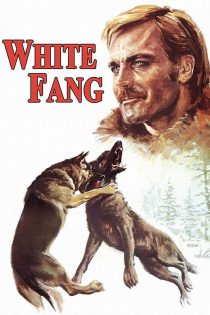 دانلود دوبله به فارسی فیلم : سپیددندان / White Fang 1973