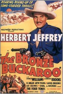 پخش آن لاین فیلم :  / The Bronze Buckaroo 1939