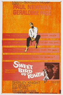 دانلود دوبله به فارسی فیلم : پرنده شیرین جوانی / Sweet Bird of Youth 1962